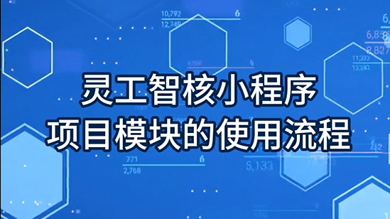 灵工智核小程序：项目使用流程